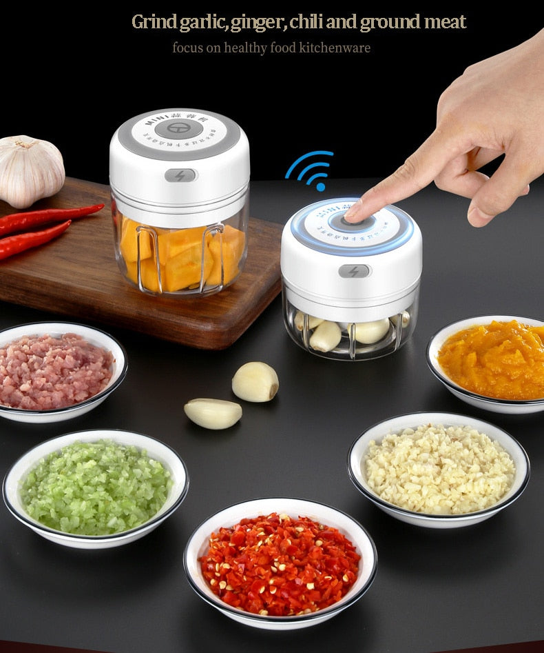 Electric Mini Vegetable Chopper