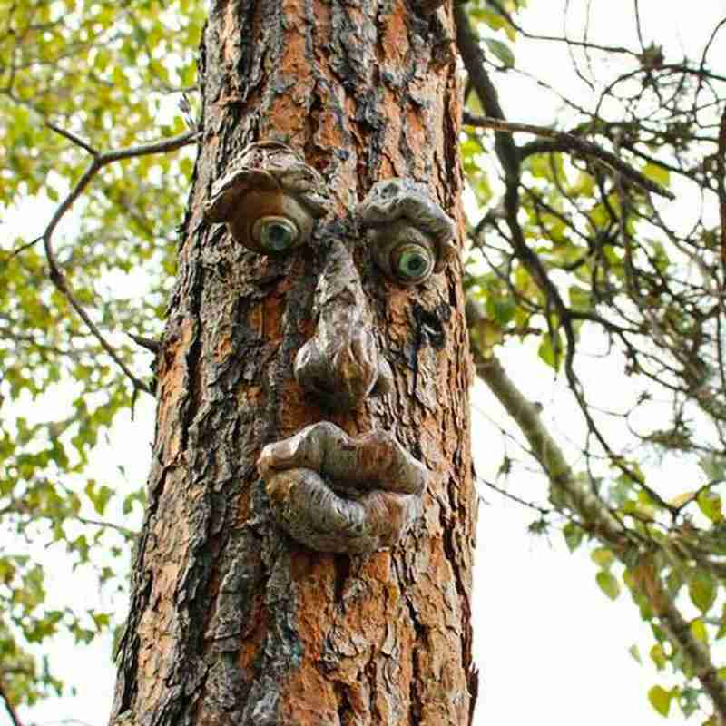 Tree Face