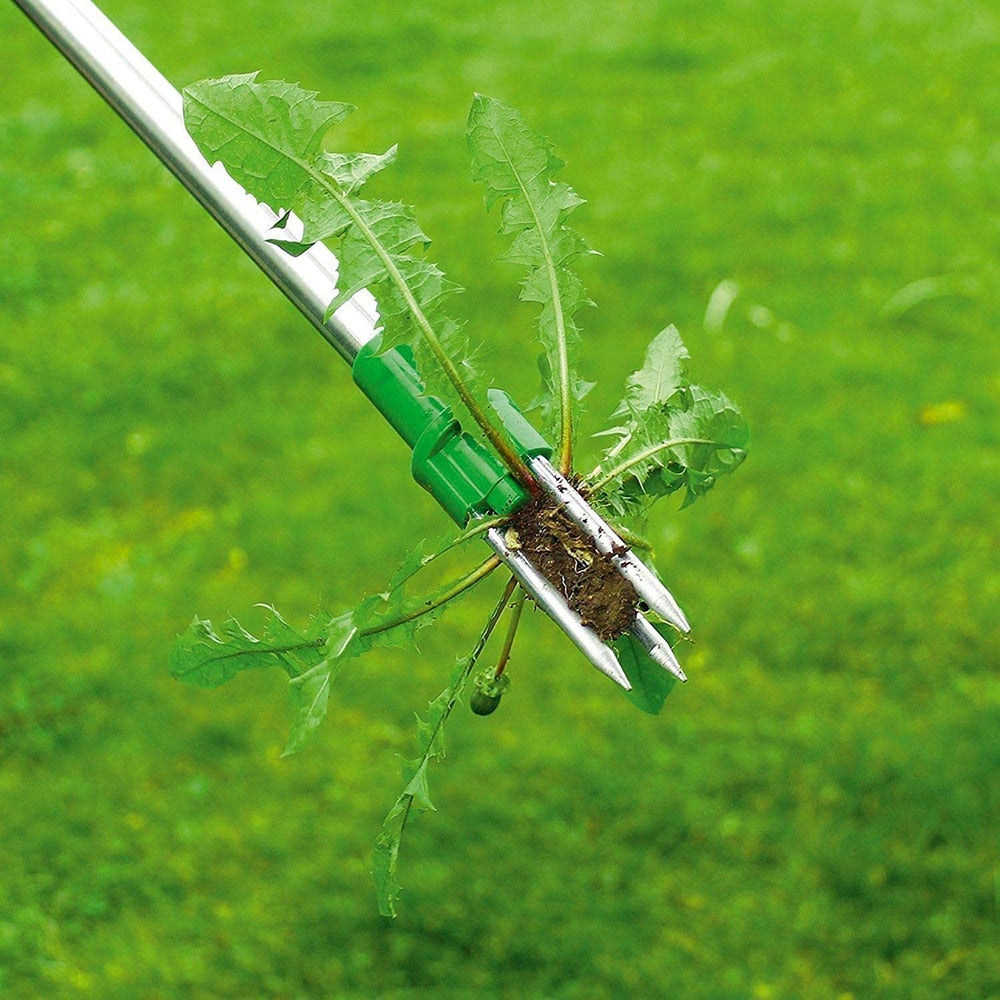 Gardening weed remover