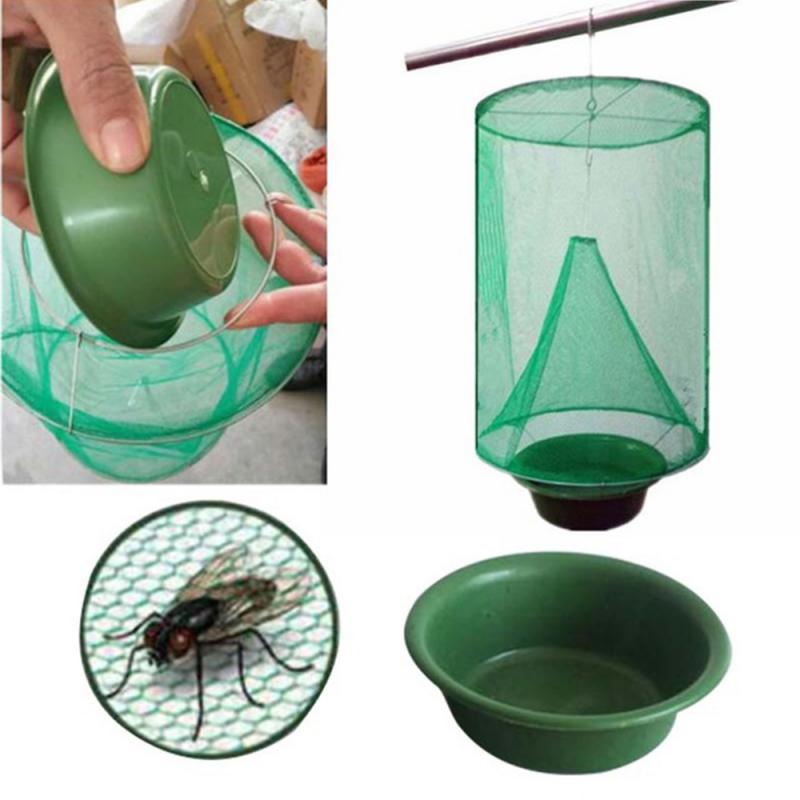 Fly and Mosquito Trap