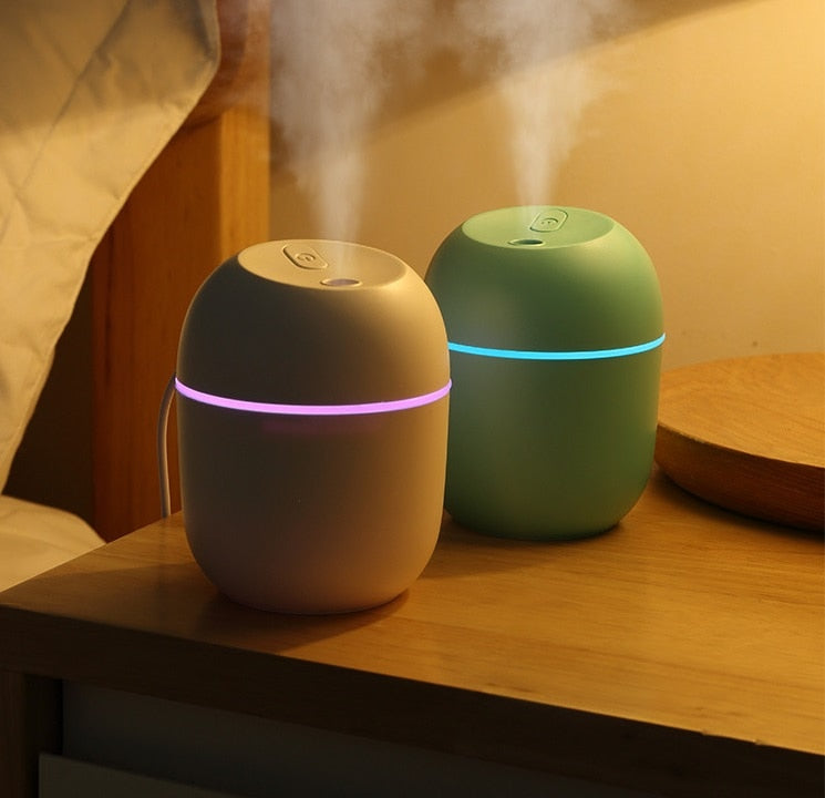 Mini Humidifier