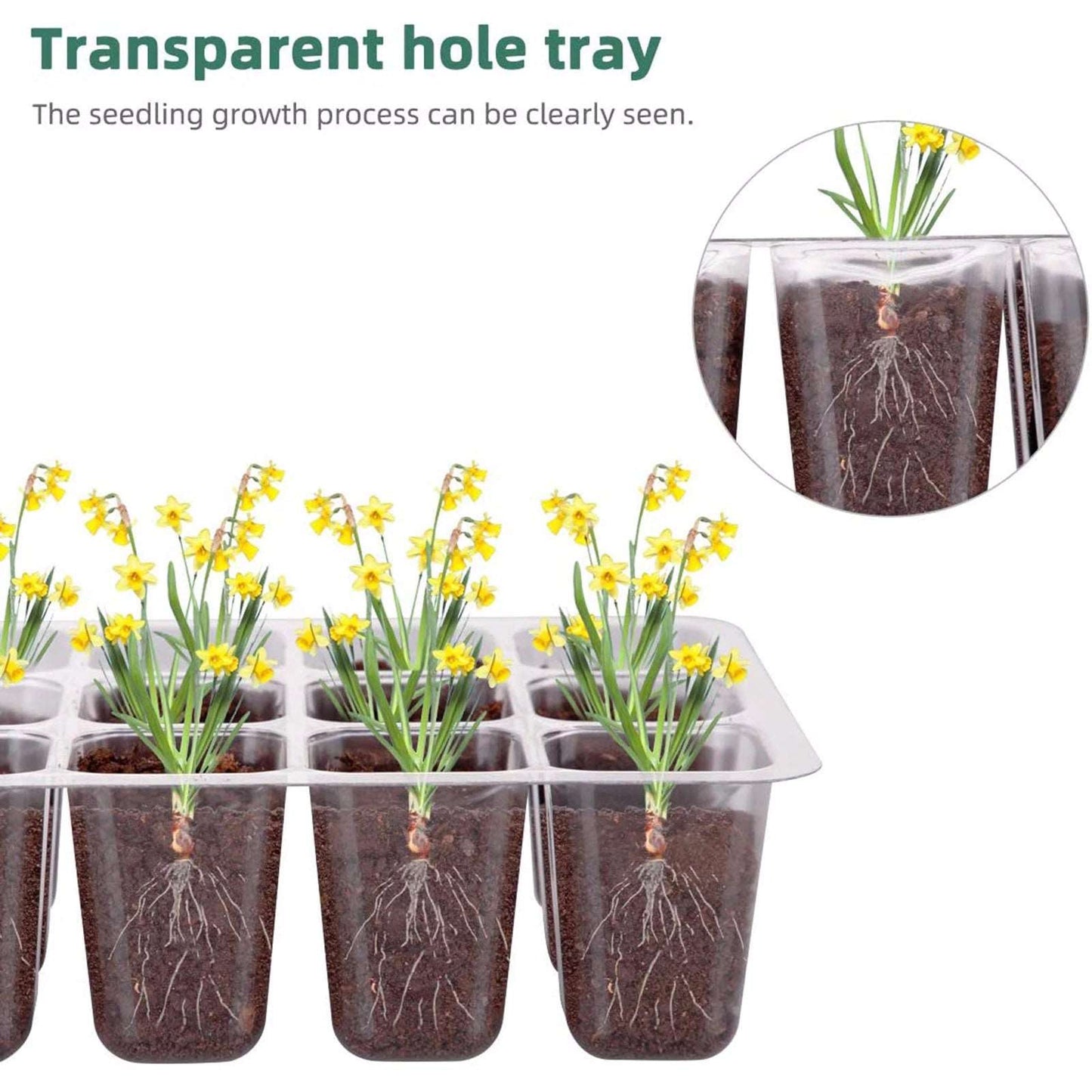 12 Holes Nursery Seed Cultivation Tray™