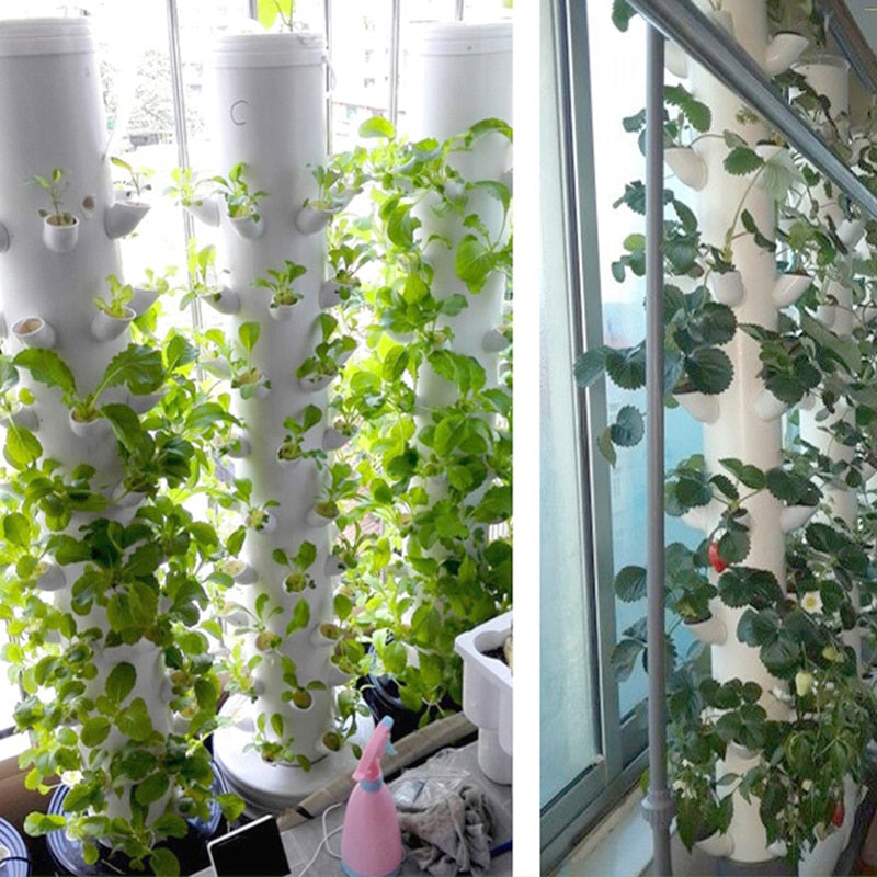 Hydroponics Soilless Plant Grow Cups™