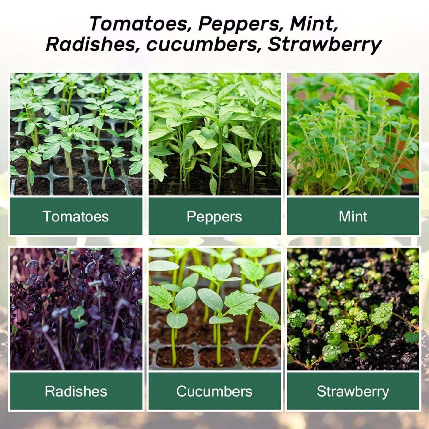 12 Holes Nursery Seed Cultivation Tray™