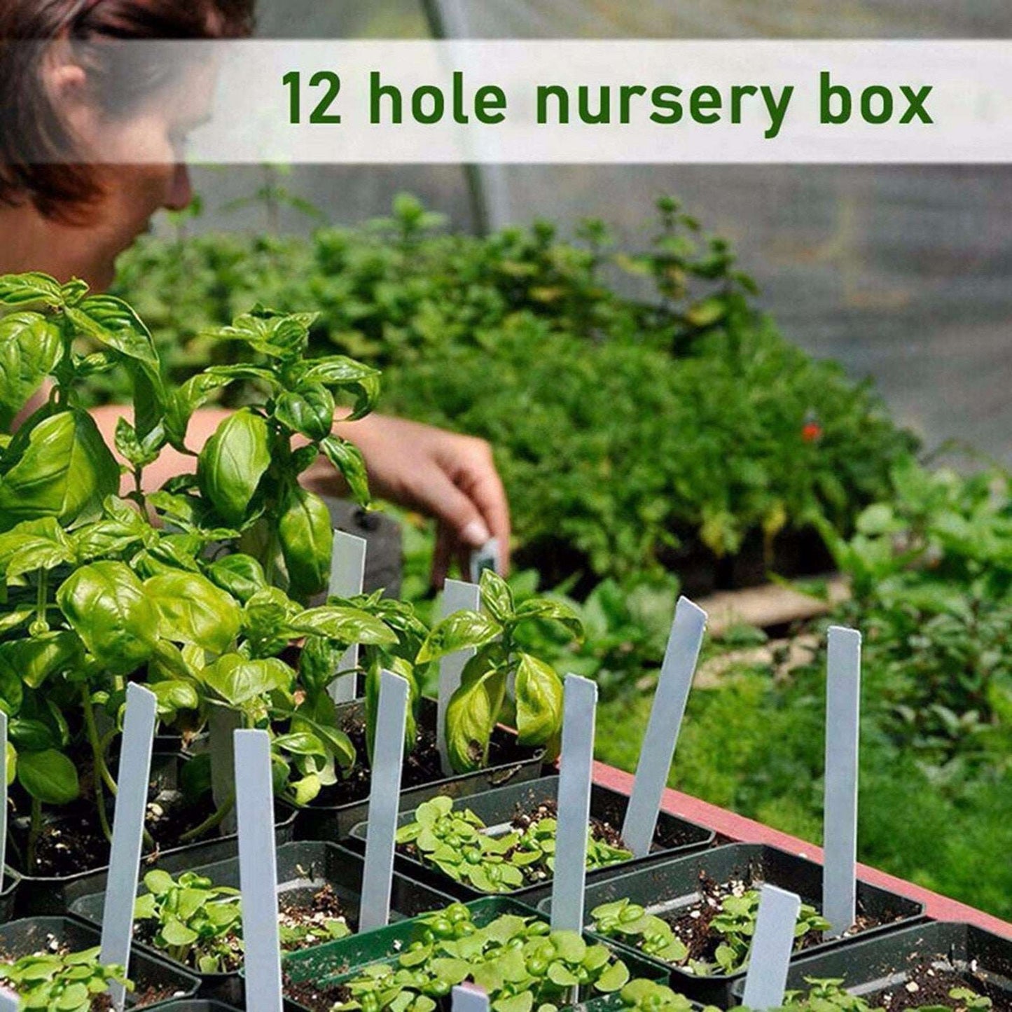 12 Holes Nursery Seed Cultivation Tray™