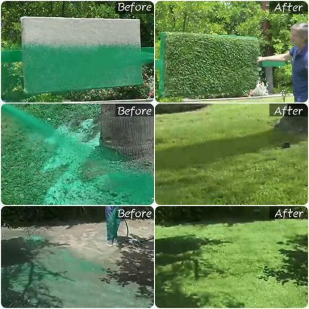 Green Grass Lawn Spray