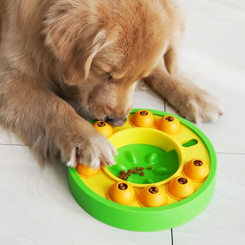 Slow Feeding Bowl for Dogs™