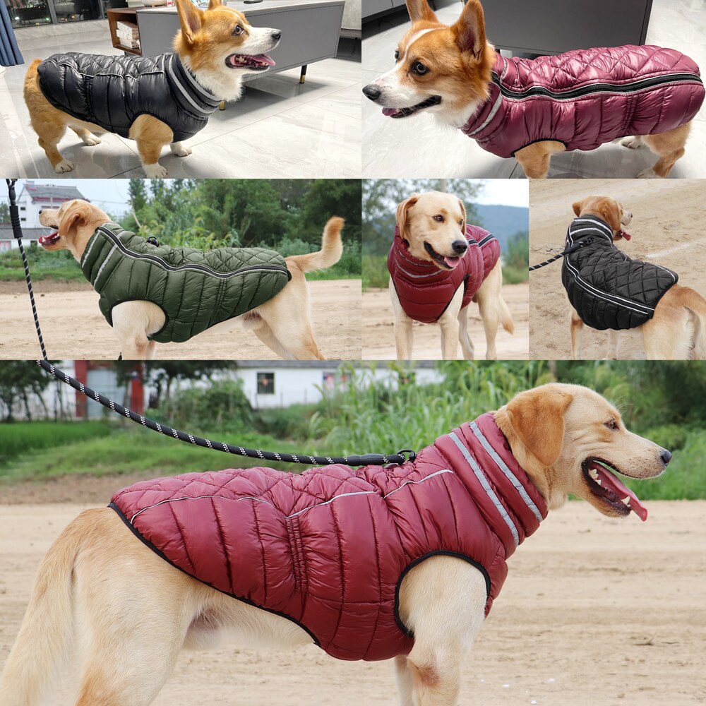 Winter Waterproof Soft Warm Dog Coat