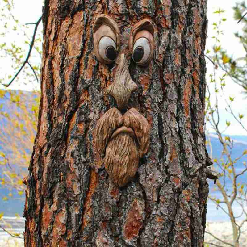 Tree Face