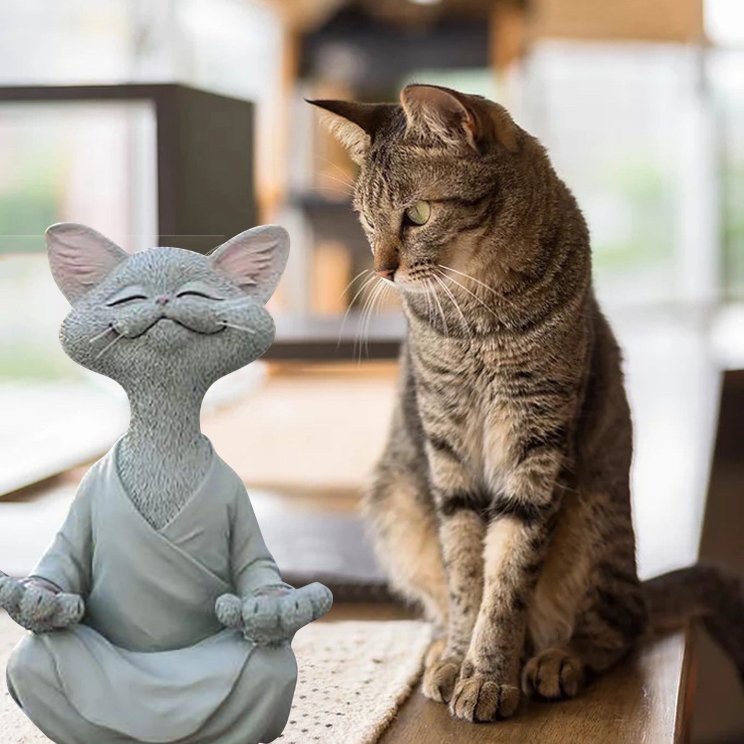 Happy Buddha Cat